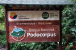 Parque Nacional Podocarpus: Explorando la Diversidad Natural de Zamora-Chinchipe