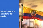 7 Poemas cortos a la Bandera del Ecuador: Descubre la Esencia de Ecuador